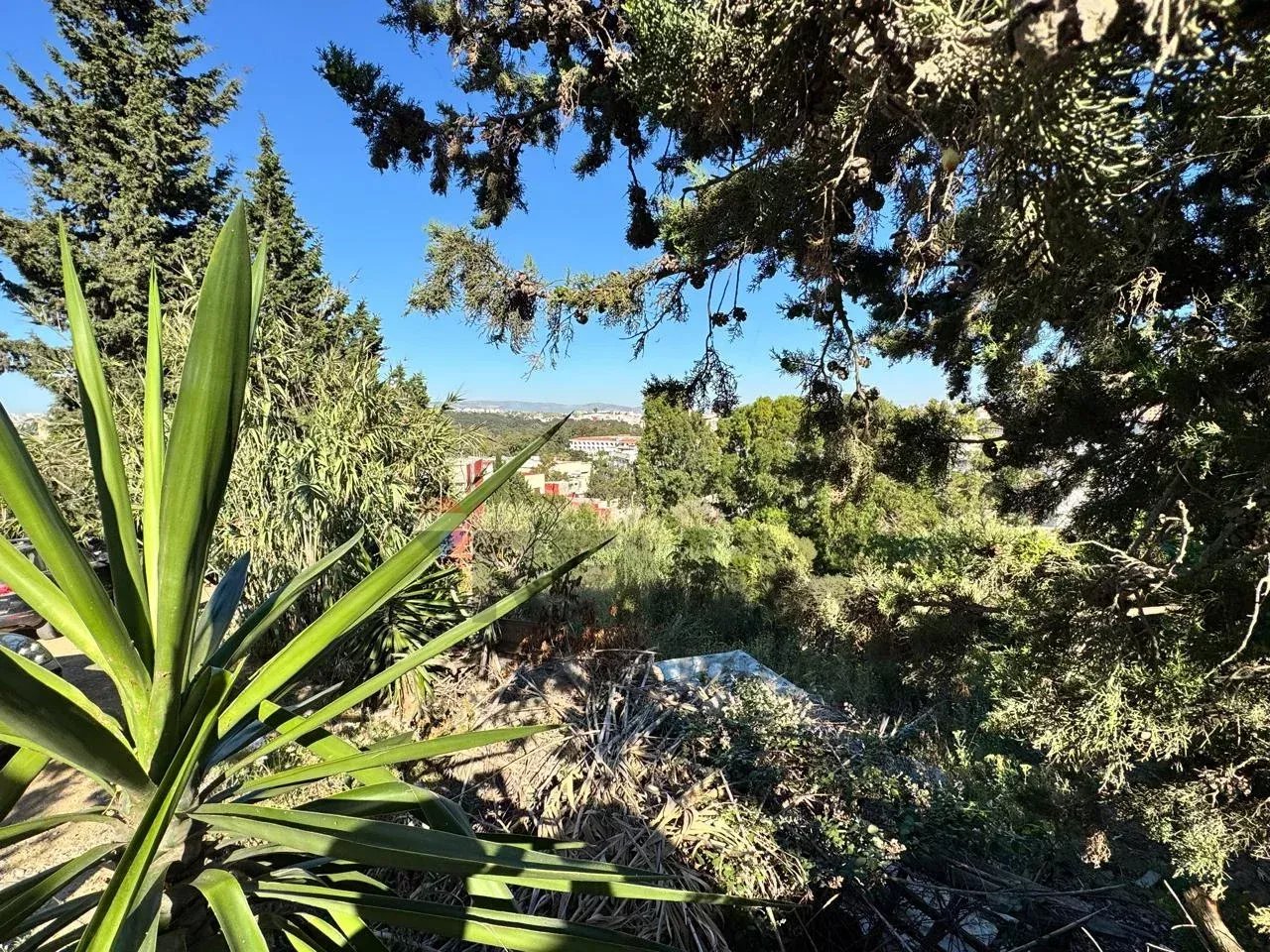 Vente de terrain usage villa à boubana